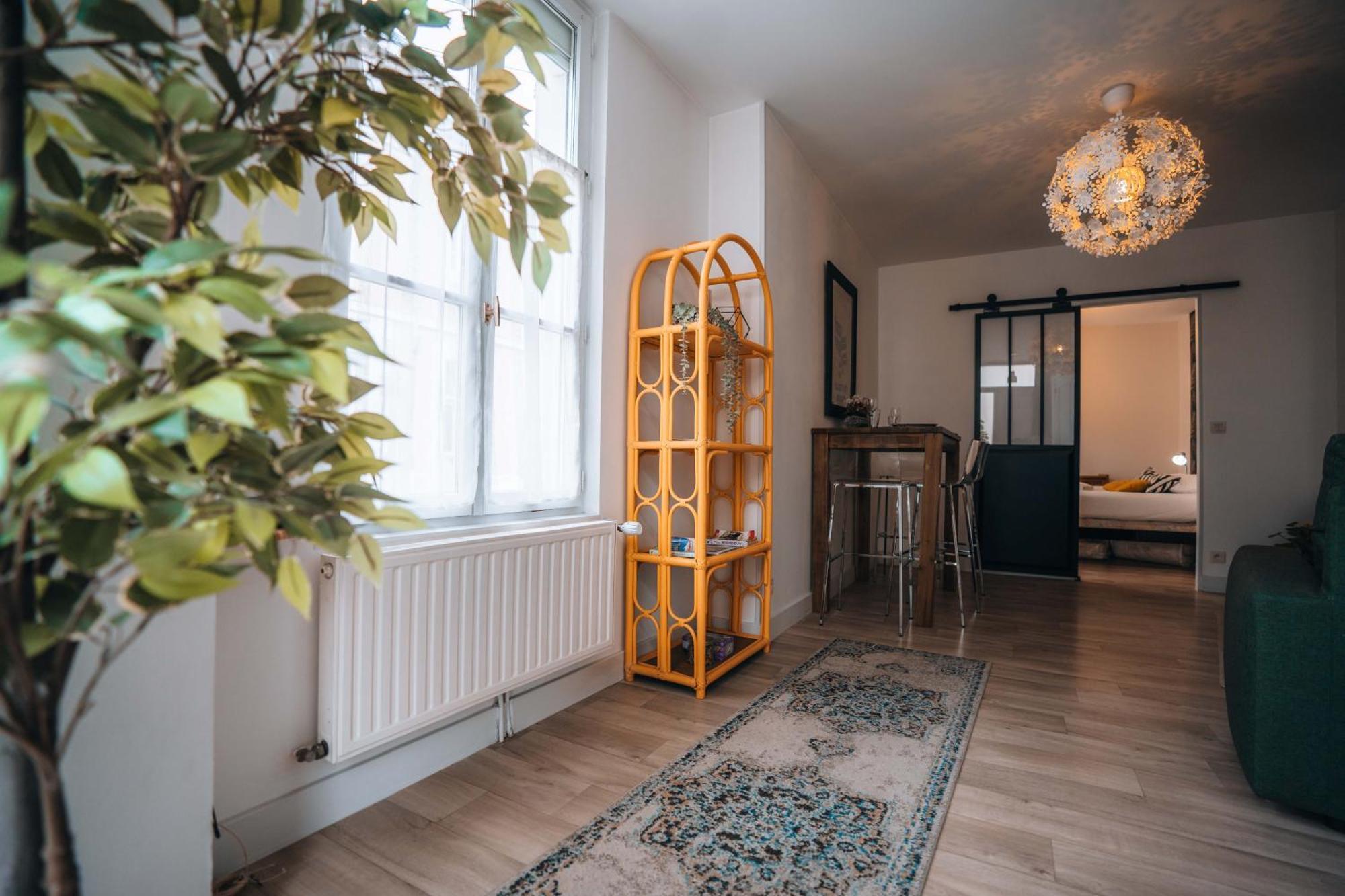 Les Petits Roys - Proche Centre Ville - Cosy Châteauroux エクステリア 写真